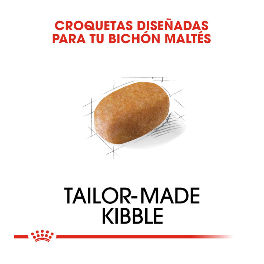 Royal Canin Adult Bichón Maltés pienso para perros thumbnail