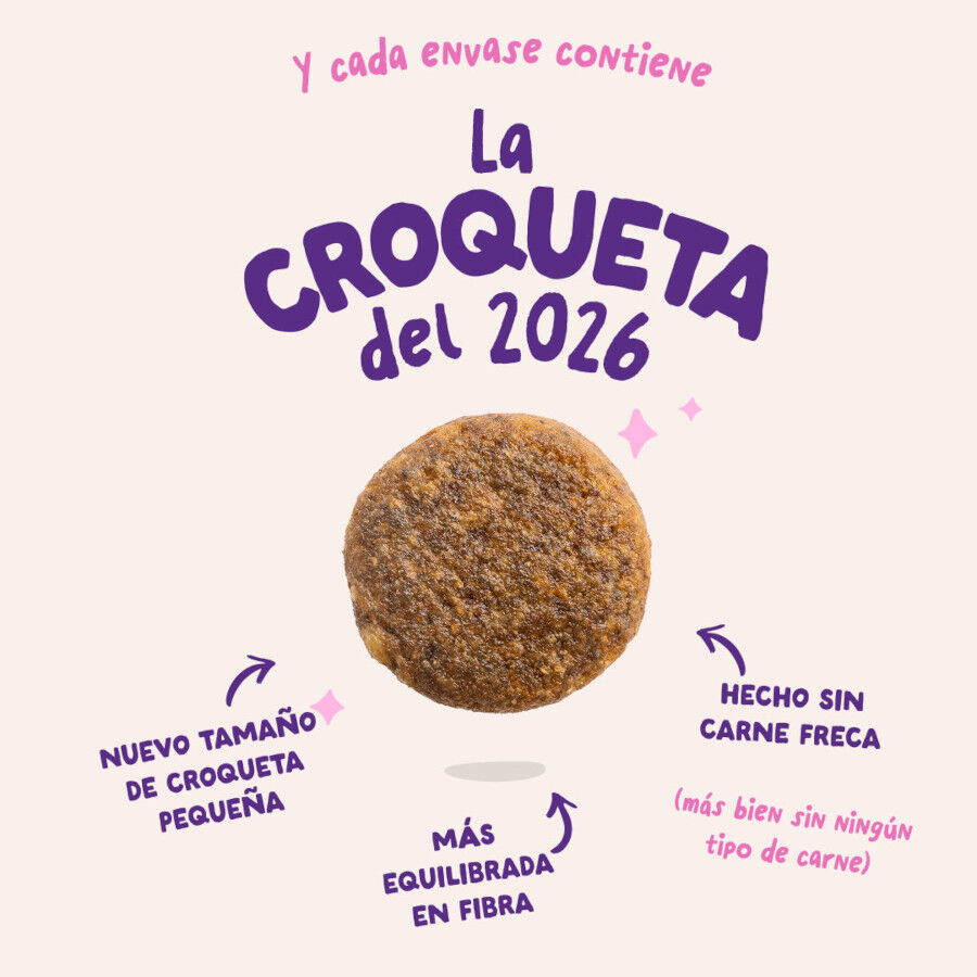 7 kg Edgard & Cooper Remolacha y Calabaza pienso para perros, , large Imagen numero 2