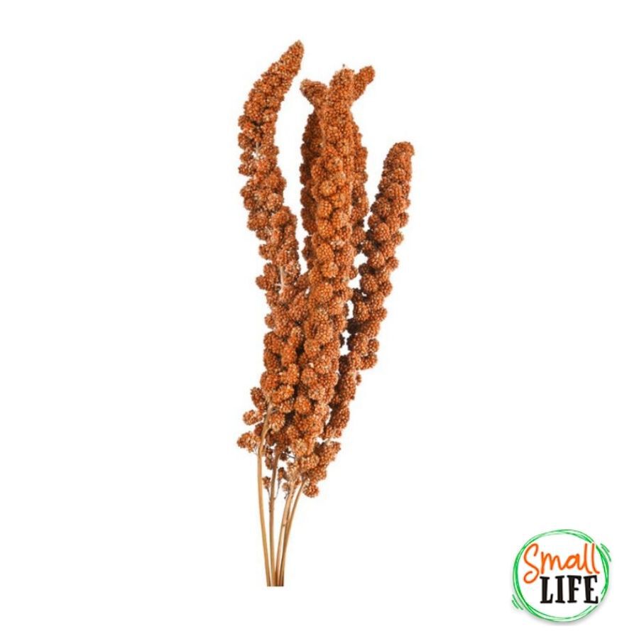 250 g Small life Snack Panizo Rojo para p&aacute;jaros, , large Imagen numero 2