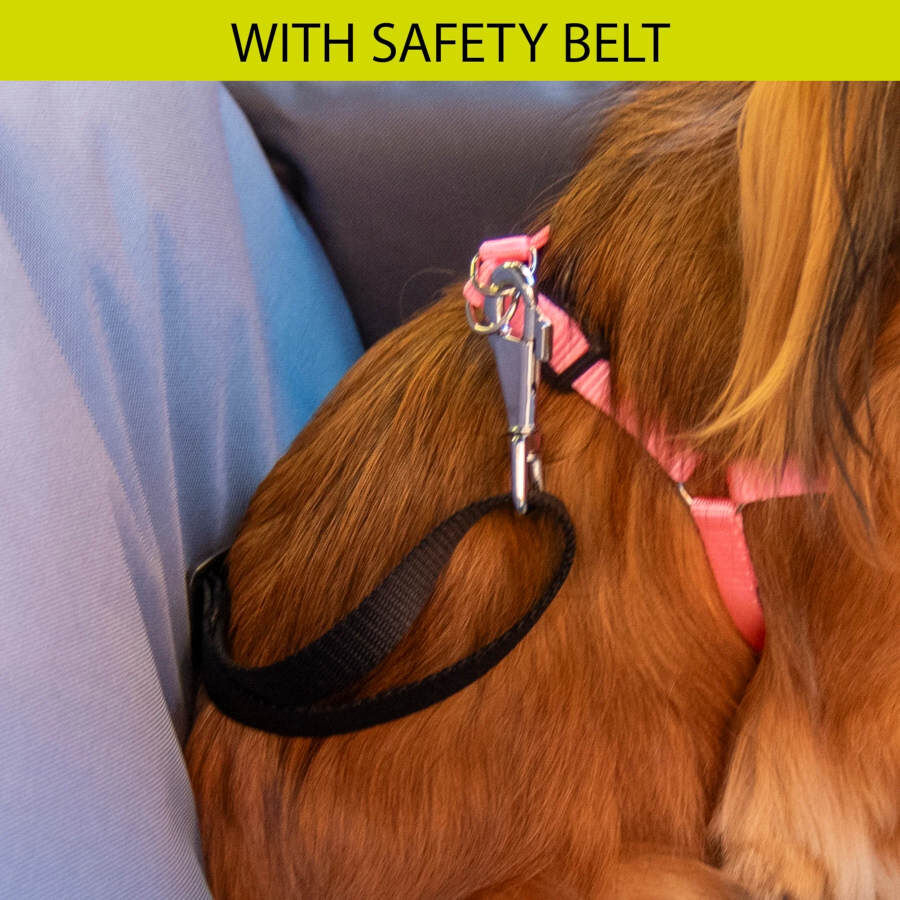 Ferplast Cruiser Marr&oacute;n Bolsa de Transporte para perros, , large Imagen numero 10