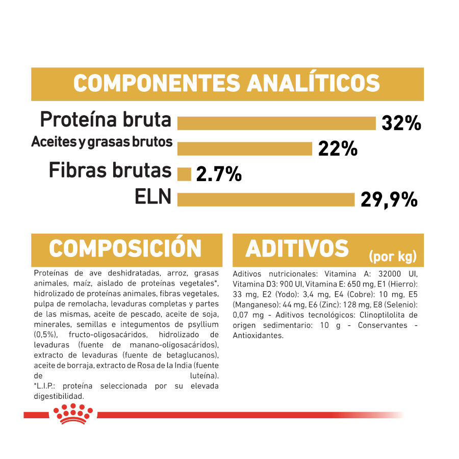 Royal Canin Kitten Persia pienso para gatos thumbnail