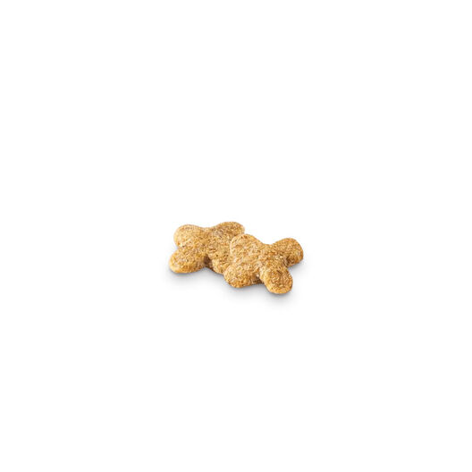 Affinity Brekkies Complet Pollo pienso para gatos, , large image number null