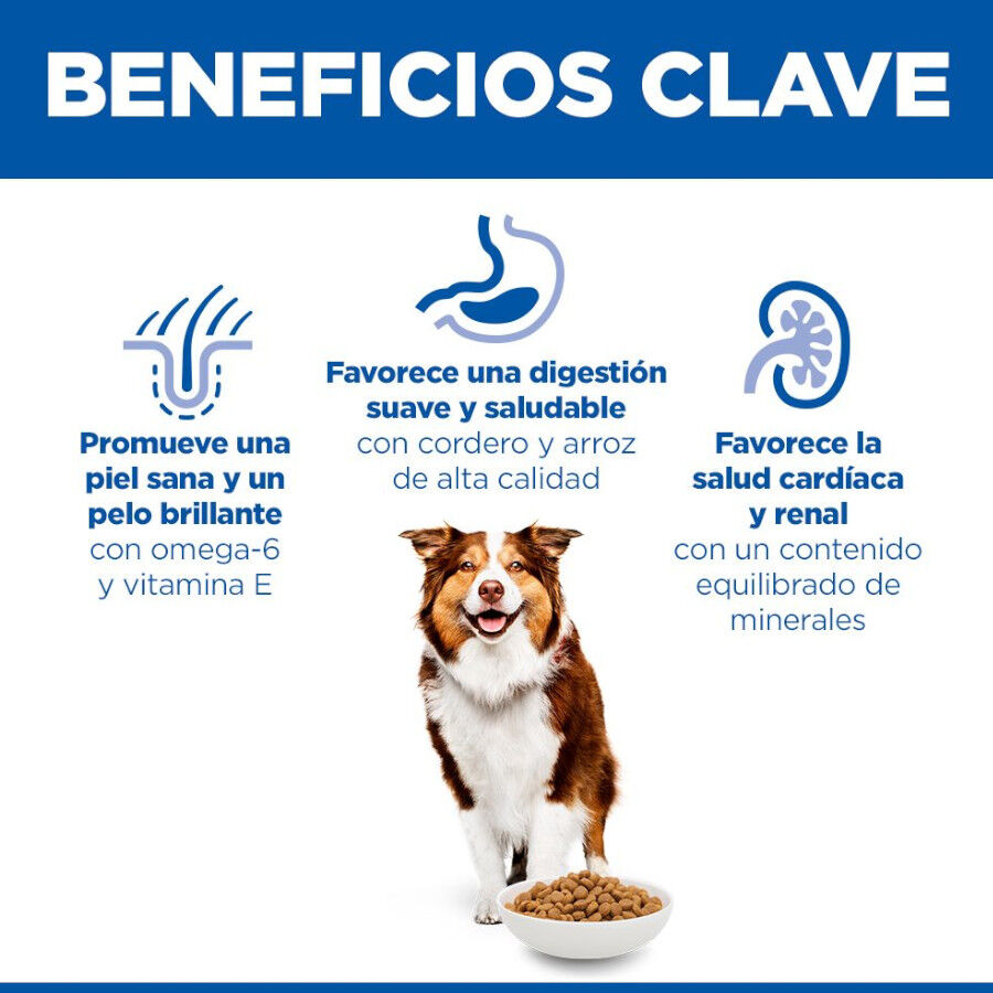 Hill&#039;s Science Plan Mature Adult Medium pienso cordero y arroz para perros de razas medianas thumbnail