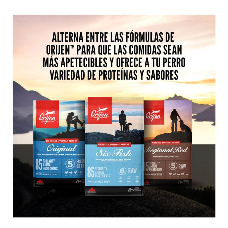 11.4 kg Orijen Adult Regional Red pienso para perros,  Imagen numero 7 11.4 kg Orijen Adult Regional Red pienso para perros, , large Imagen numero 7