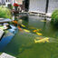 JBL ProPond Flakes alimento para peces, , large indicador imagen numero 9