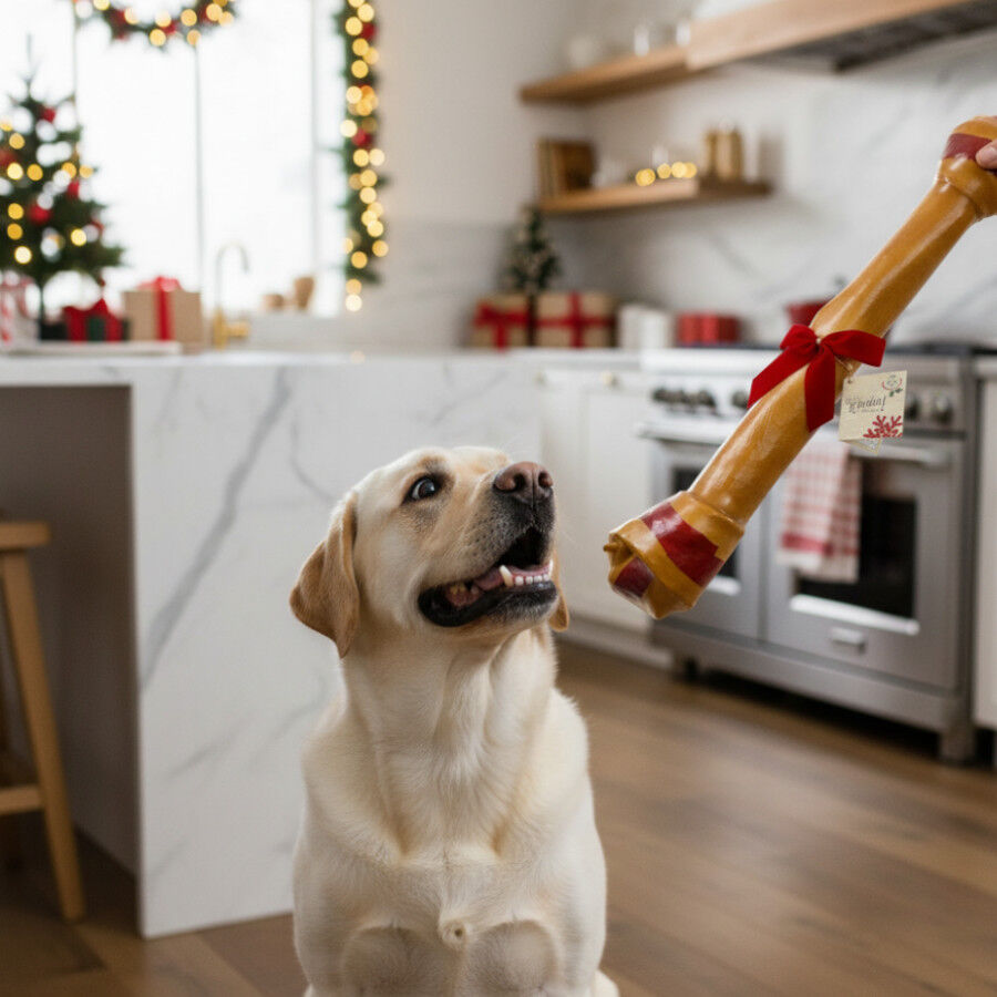 Wonder Christmas Hueso Gigante Navideño para perros thumbnail