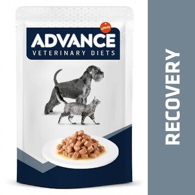 Advance Recovery Sobre para perros y gatos