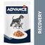 100 g Advance Recovery Sobre para perros y gatos, , large indicador imagen numero 2