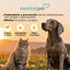 Medicalpet Spray antiparasitario para perros y gatos, , large indicador imagen numero 4