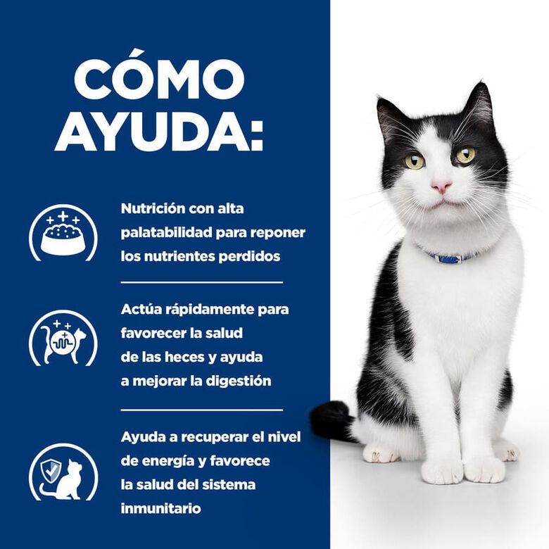 Hill&#039;s Prescription Diet Digestive Care i/d Pollo pienso para gatos thumbnail