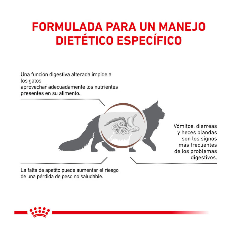 Royal Canin Veterinary Gastrointestinal pienso para gatos, , large image number null