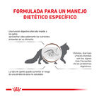 Royal Canin Veterinary Gastrointestinal pienso para gatos, , large image number null