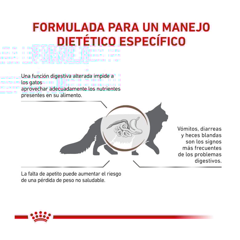 4 kg Royal Canin Veterinary Gastrointestinal pienso para gatos,  Imagen numero 3 4 kg Royal Canin Veterinary Gastrointestinal pienso para gatos, , large Imagen numero 3
