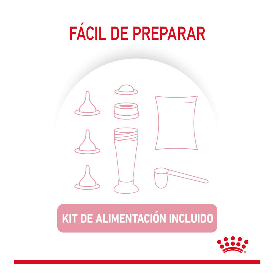 300 g Royal Canin Leche para gatitos primer a&ntilde;o, , large Imagen numero 7
