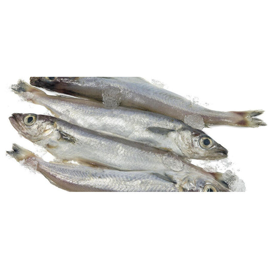 Hobbitalf La Pescadería Lirios para perros thumbnail