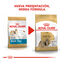 3 kg Royal Canin Adult Shih Tzu pienso para perros , , large indicador imagen numero 3