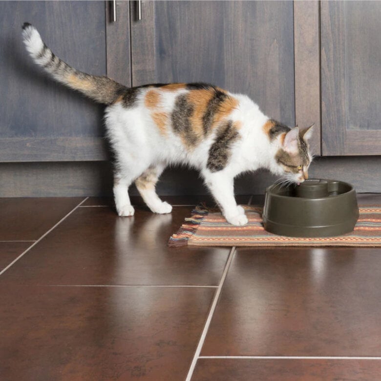 Petsafe Drinkwell Bebedero Automático para perros y gatos,  Imagen numero 4 Petsafe Drinkwell Bebedero Automático para perros y gatos, , large Imagen numero 4