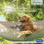 Virbac Anxitane Relajantes en Comprimidos para perros y gatos, , large indicador imagen numero 7