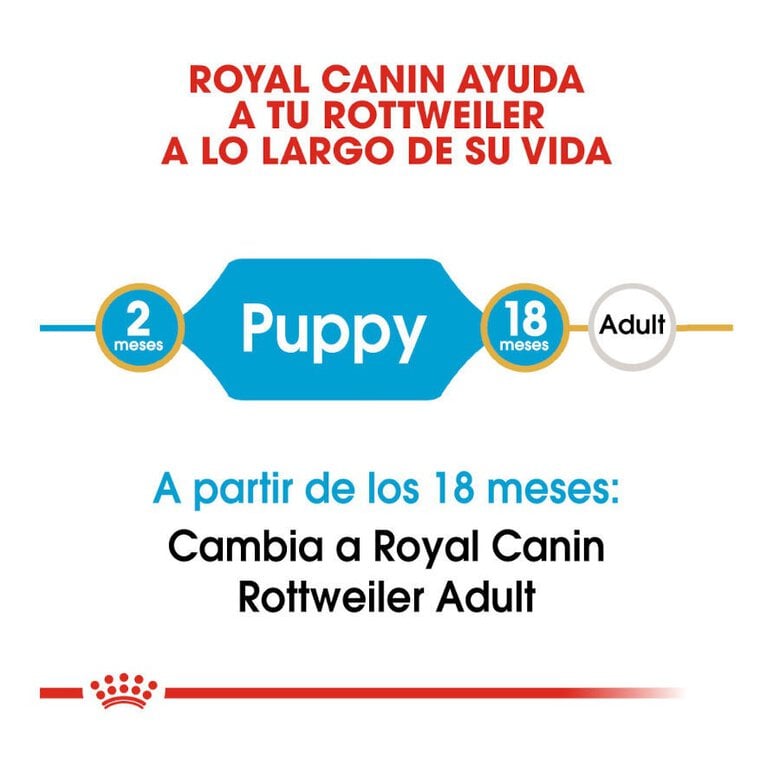 12 kg Royal Canin Puppy Rottweiler pienso para perros ,  Imagen numero 6 12 kg Royal Canin Puppy Rottweiler pienso para perros , , large Imagen numero 6