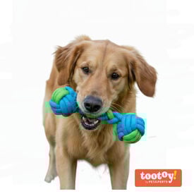 Tootoy! Hueso Mordedor de Cuerda Verde y Azul para perros