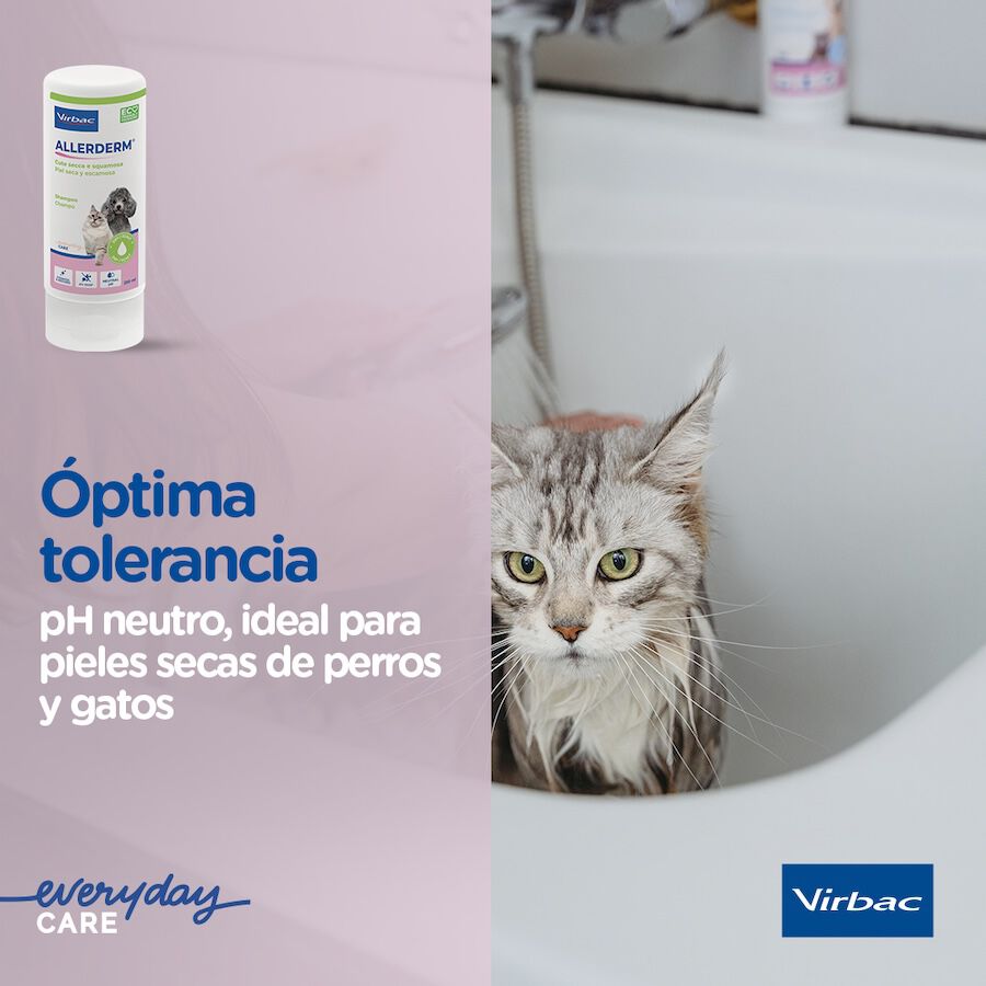 Vibac Allerderm Champú Piel Seca y Escamosa para perros y gatos thumbnail