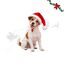 Wonder Christmas Gorro Papa Noel para perros, , large indicador imagen numero 1