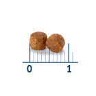 croqueta_gato_nath_adult.jpg image number null
