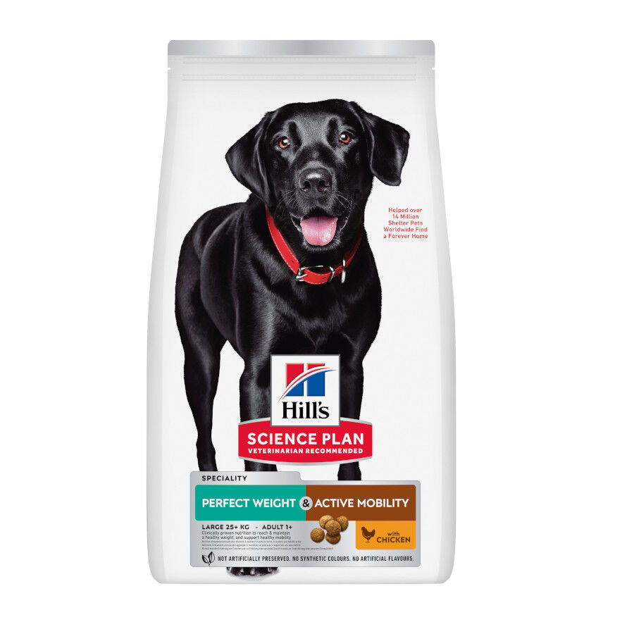 Hill's Science Plan Perfect weight y Active Mobility pollo pienso para perros grandes