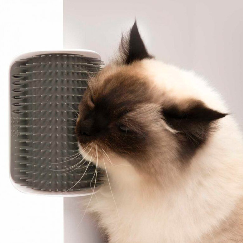Catit Self Groomer Cepillo de Pared ,  Imagen numero 1 Catit Self Groomer Cepillo de Pared , , large Imagen numero 1