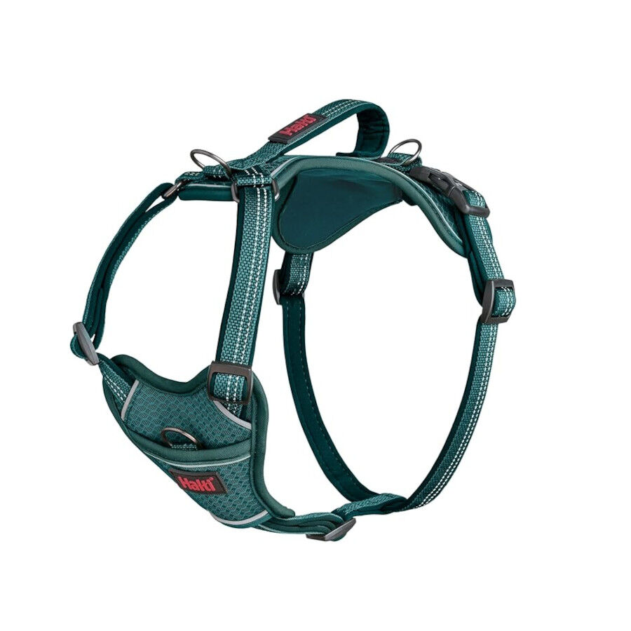 Halti arn&eacute;s anat&oacute;mico con asa azul verdoso para perros, , large Imagen numero 1