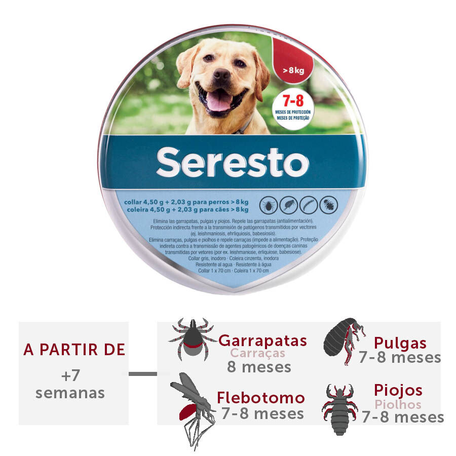 Seresto collar leishmaniasis store