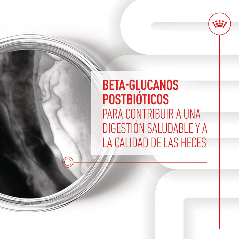 100 g Royal Canin Immunity & Digestion Chews Puppy Suplemento nutricional para perros,  Imagen numero 5 100 g Royal Canin Immunity & Digestion Chews Puppy Suplemento nutricional para perros, , large Imagen numero 5