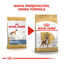 12 kg Royal Canin Adult Boxer pienso para perros, , large indicador imagen numero 3