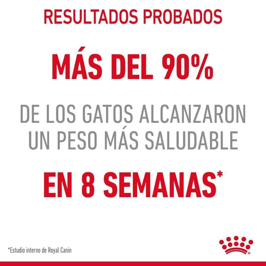 Royal Canin Adult Light Weight Care pienso para gatos thumbnail