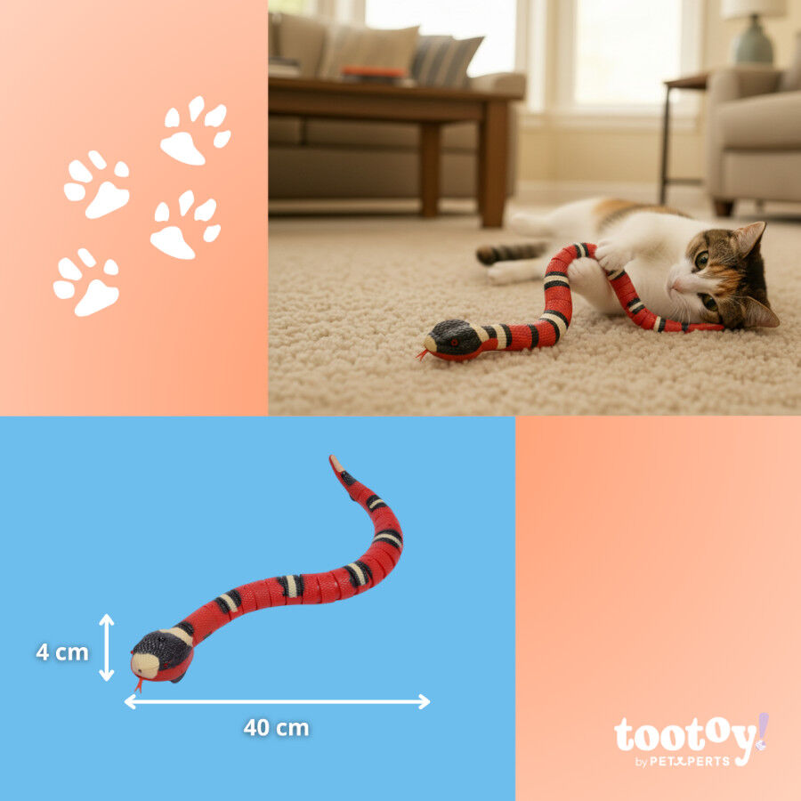 Tootoy! Serpiente Interactiva con Movimiento para gatos, , large Imagen numero 6