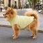 Gotoo Jersey Polar Amarillo para perros, , large indicador imagen numero 1