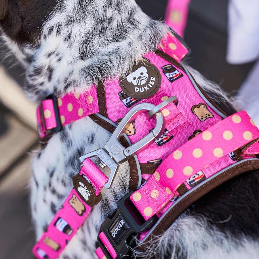 Dukier Dogtella Arn&eacute;s trail para perros, , large Imagen numero 3