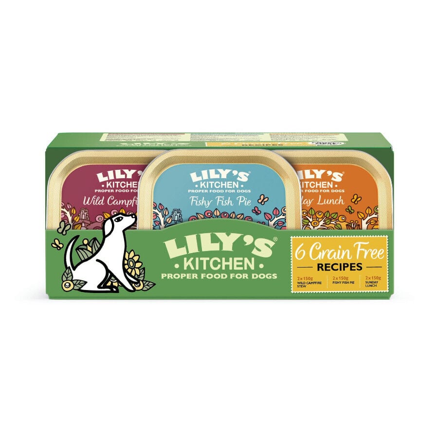 6 tarrinas x 150 g Lily's Kitchen Grain Free tarrinas para perros, , large Imagen numero 1