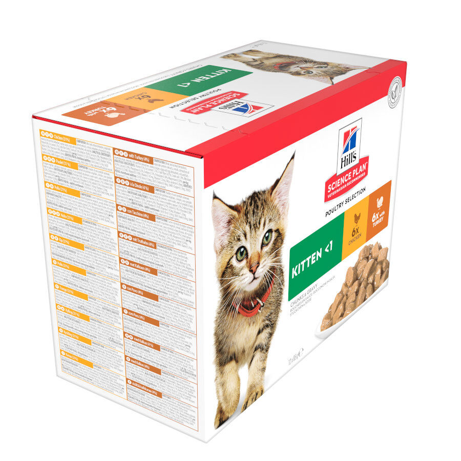 12 sobres x 85 g Hill's Science Plan Kitten Pollo y Pavo en Salsa sobre para gatos, , large Imagen numero 3