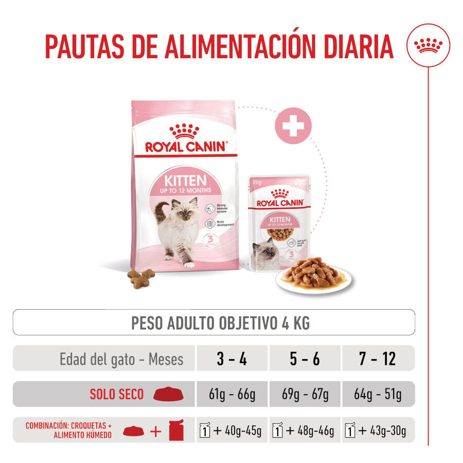 Royal Canin Kitten pienso para gatos thumbnail
