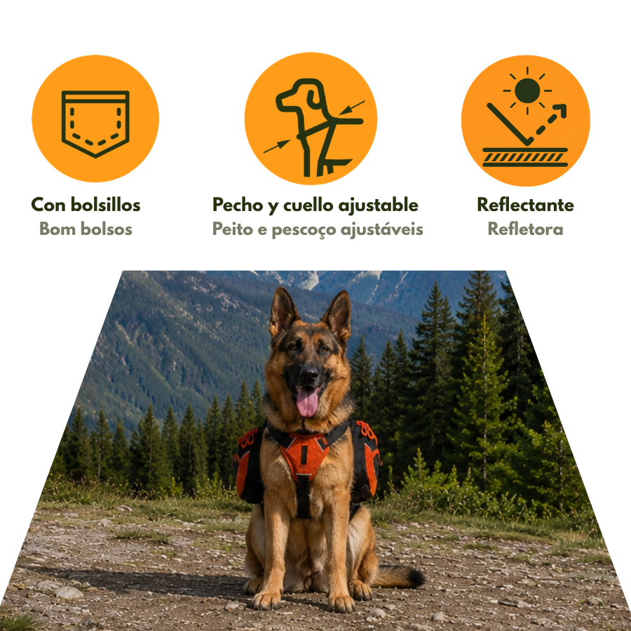 Outech X-perience Arn&eacute;s Multiusos para perros, , large Imagen numero 4