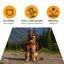 Outech X-perience Arn&eacute;s Multiusos para perros, , large indicador imagen numero 4