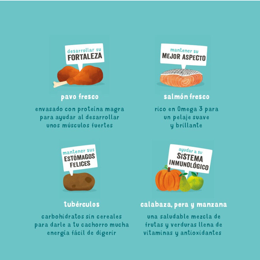 Edgard &amp; Cooper Puppy Salmón y Pavo pienso parra perros thumbnail