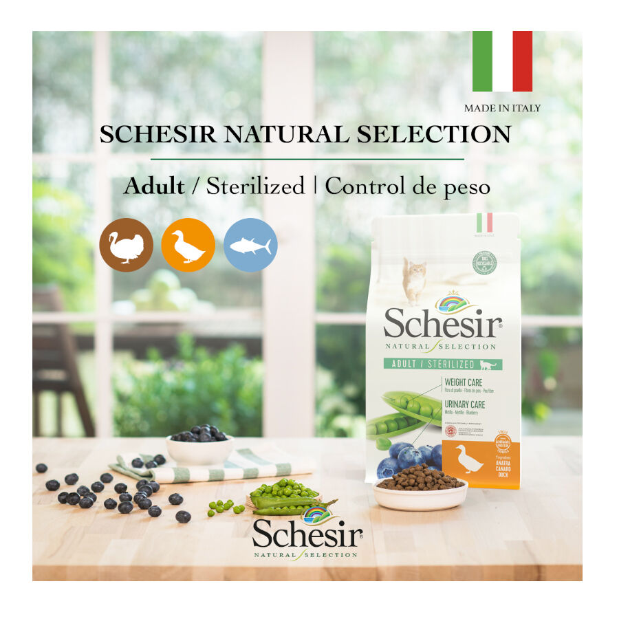 1.4 kg Schesir Adult Natural Selection Pollo pienso para gatos, , large Imagen numero 4