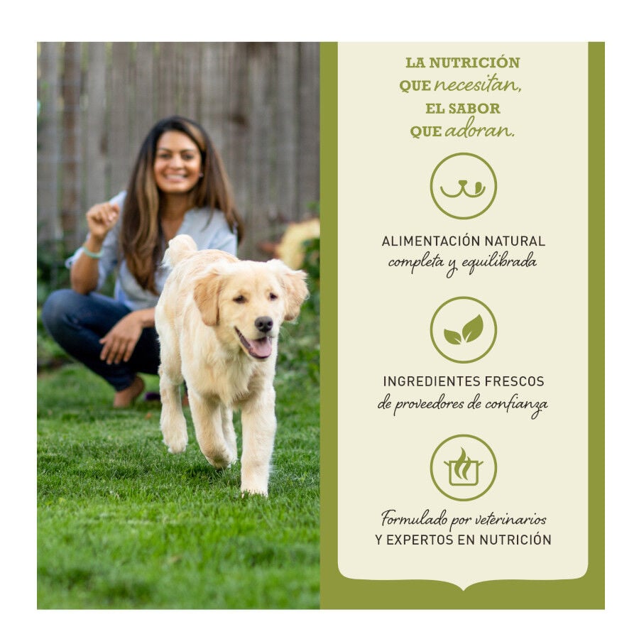 1.8 kg Acana Highest Protein Pollo Pavo y Salm&oacute;n pienso para gatitos, , large Imagen numero 3