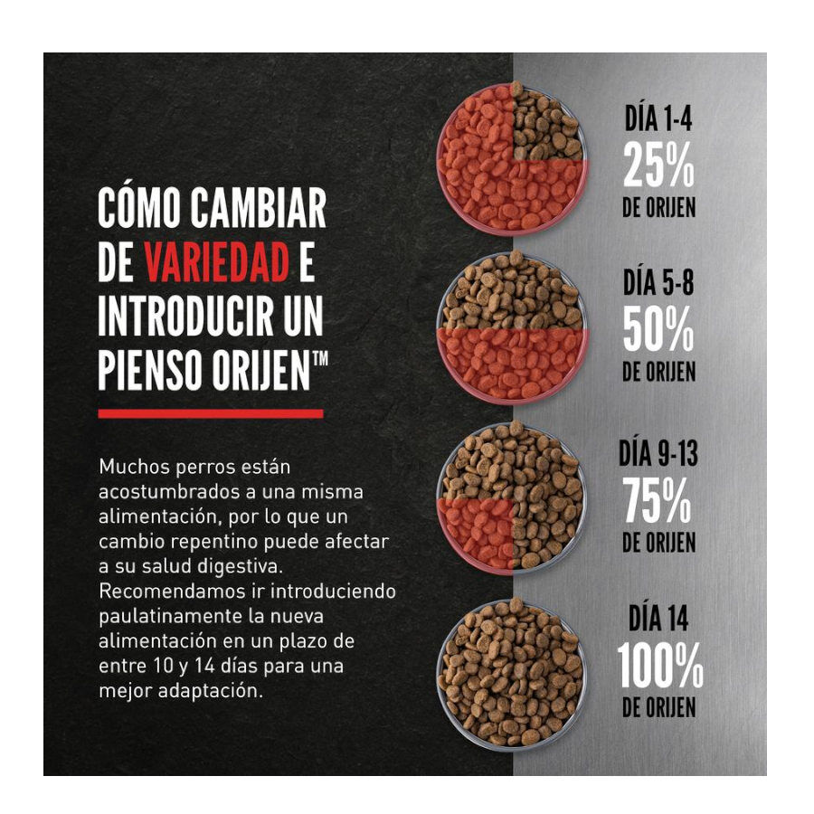 Orijen Senior pienso para perros thumbnail