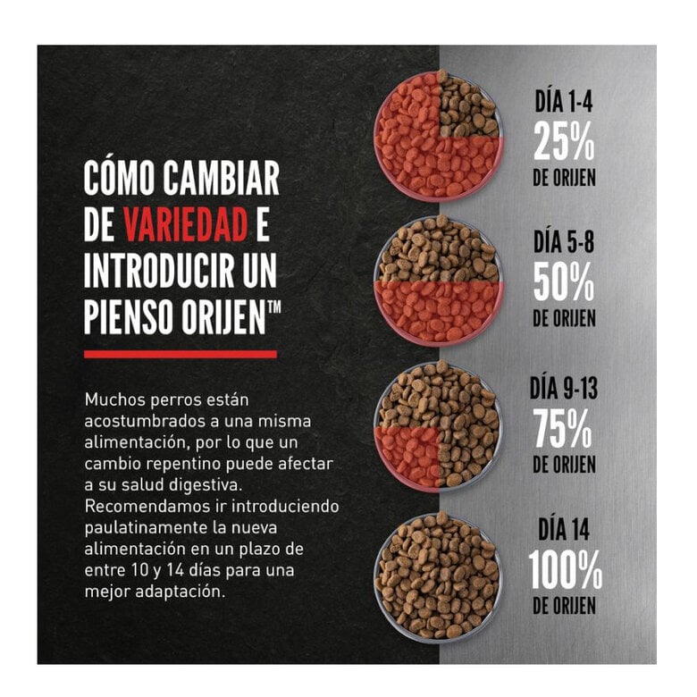 11.4 kg Orijen Adult Regional Red pienso para perros,  Imagen numero 6 11.4 kg Orijen Adult Regional Red pienso para perros, , large Imagen numero 6