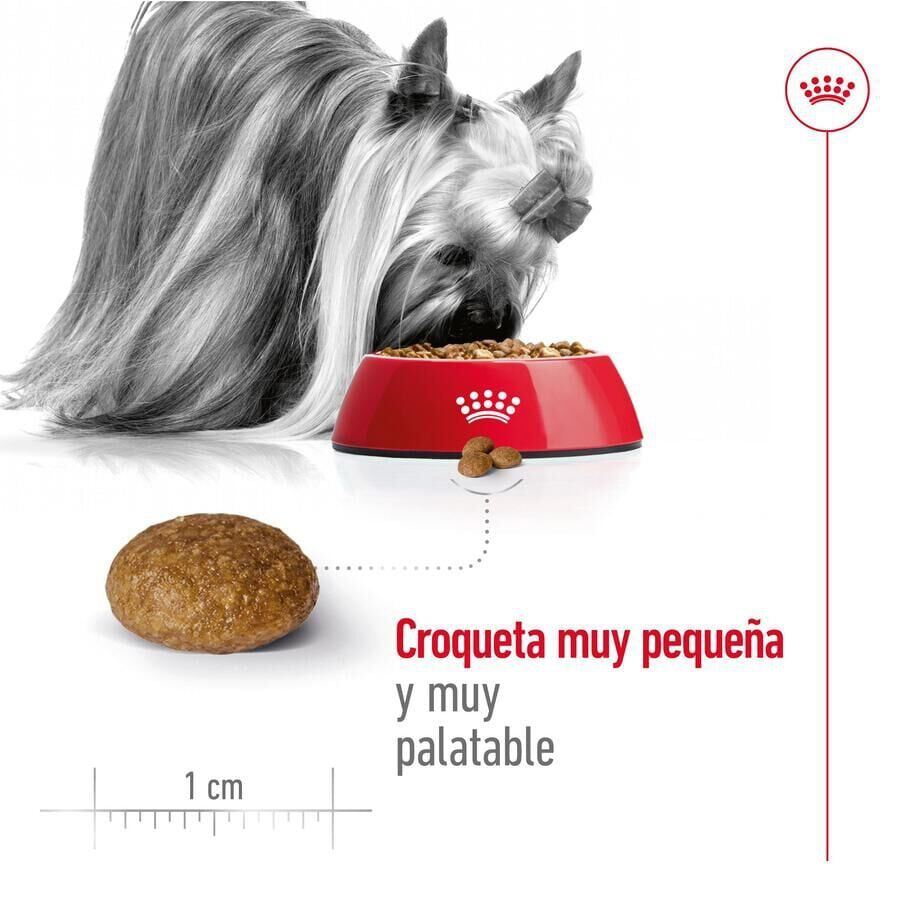 1.5 kg Royal Canin X-Small 8+ Mature pienso para perros, , large Imagen numero 6