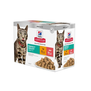 Hill's Perfect Weight Salmón y Pollo sobre para gatos - Multipack 12