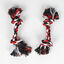 Disney Minnie Mouse Set Regalo de Bienvenida para perros, , large indicador imagen numero 3